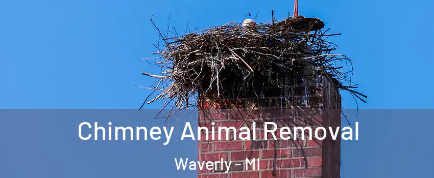 Chimney Animal Removal Waverly - MI