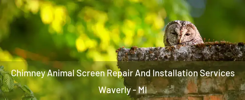  Chimney Animal Screen Repair And Installation Services Waverly - MI
