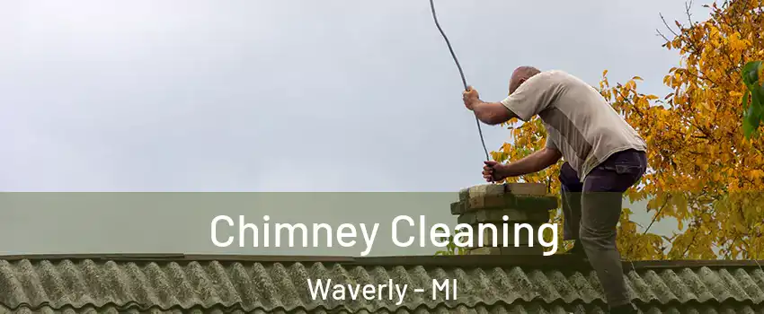  Chimney Cleaning Waverly - MI