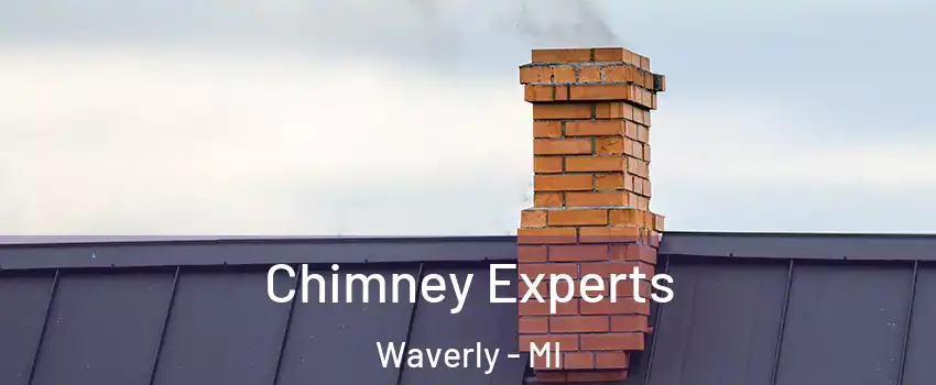  Chimney Experts Waverly - MI