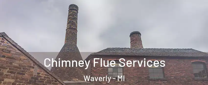  Chimney Flue Services Waverly - MI