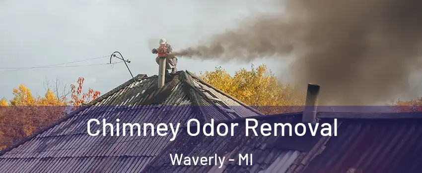  Chimney Odor Removal Waverly - MI