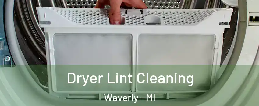  Dryer Lint Cleaning Waverly - MI