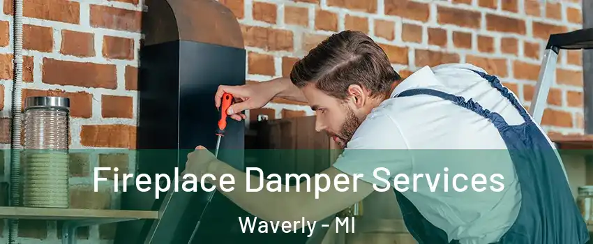  Fireplace Damper Services Waverly - MI