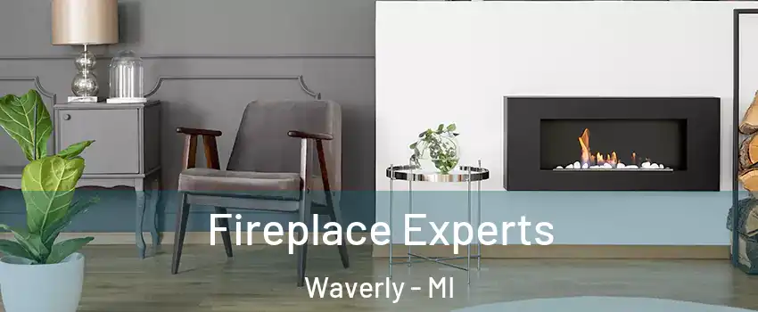  Fireplace Experts Waverly - MI