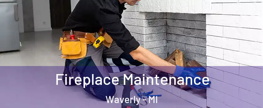  Fireplace Maintenance Waverly - MI