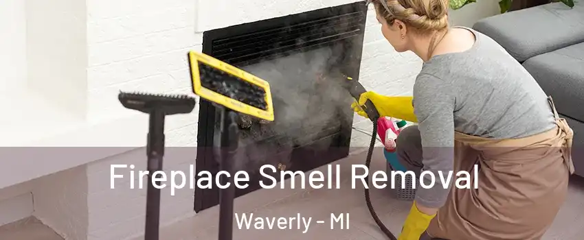  Fireplace Smell Removal Waverly - MI