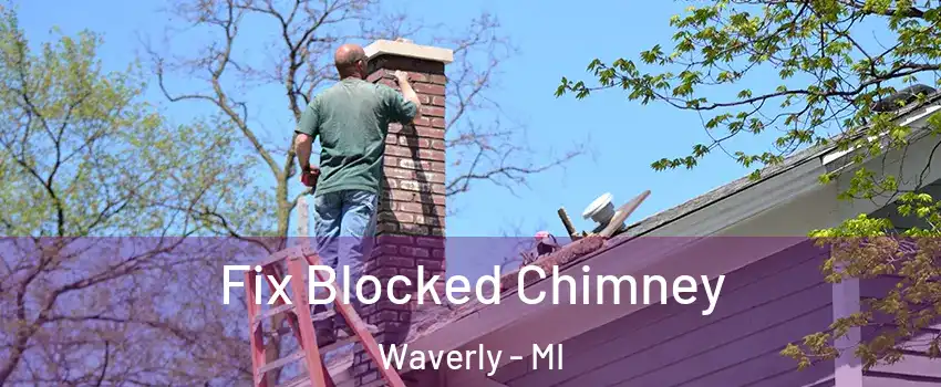  Fix Blocked Chimney Waverly - MI