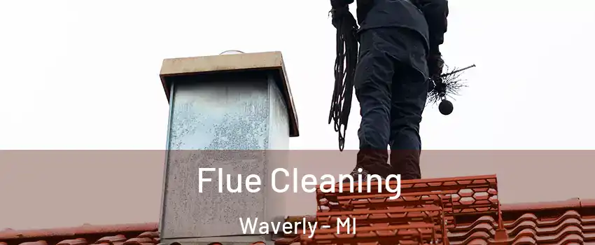  Flue Cleaning Waverly - MI