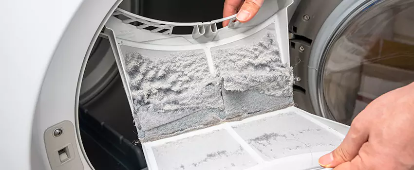 Best Dryer Lint Removal Company in Waverly, Michigan