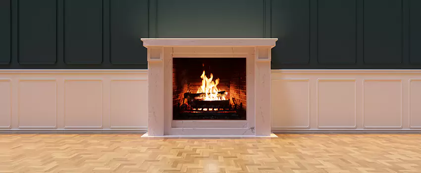 Napoleon Electric Fireplaces Inspection Service in Waverly, Michigan