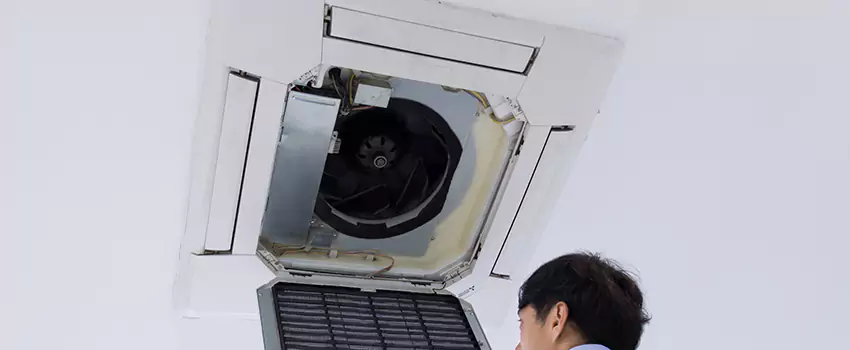 Benefits of Professional Air Duct Cleaning in Waverly, Michigan