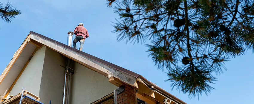 Birds Removal Contractors from Chimney in Waverly, MI