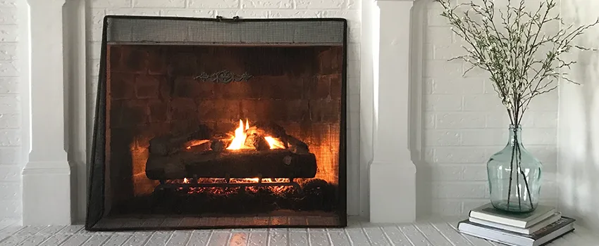 Cost-Effective Fireplace Mantel Inspection And Maintenance in Waverly, MI
