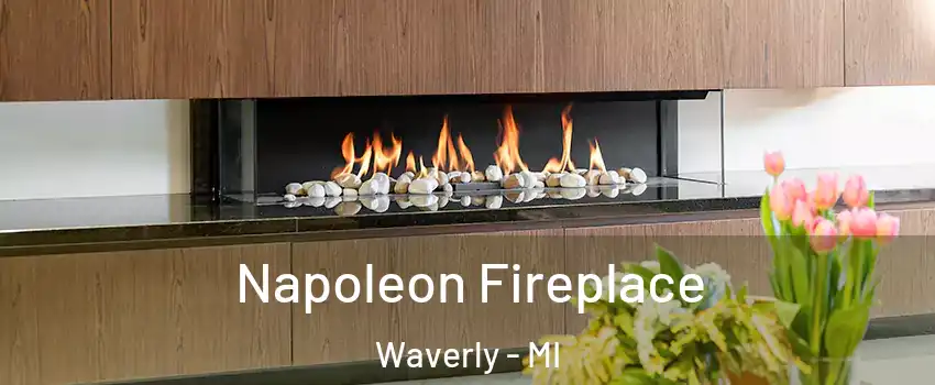  Napoleon Fireplace Waverly - MI