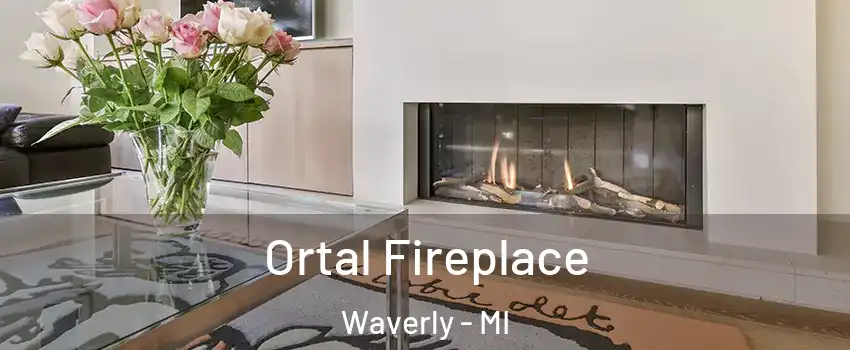  Ortal Fireplace Waverly - MI